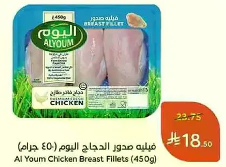 فيليه صدور الدجاج اليوم (450 جرام)