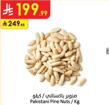 صنوبر باكستاني / كيلوا