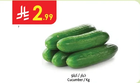 خيار / كيلو