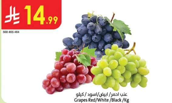 Grapes Red/White/Black /Kg