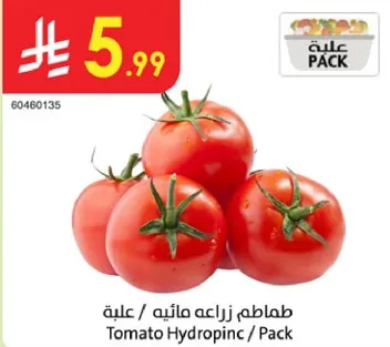 طماطم زراعه ماييه / علبه