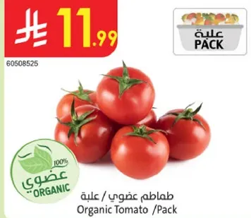 Organic Tomato / Pack