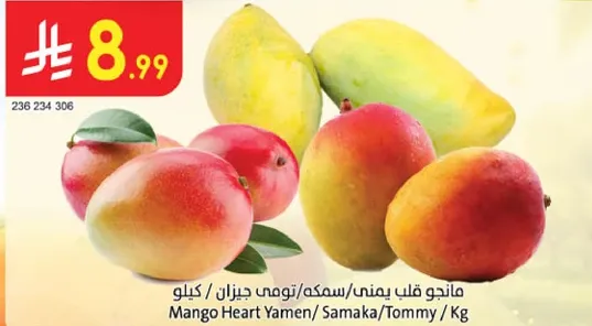 مانجو قلب يمني / سمكه / تومي حيزان / كيلو