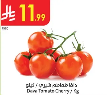 طماطم شيري / كيلو