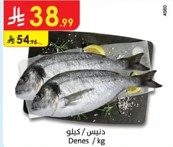 سمك دنيس يباع بالكيلو.