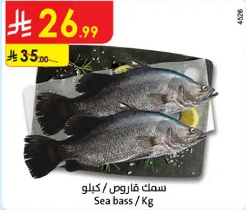 سمك قاروص / كيلو