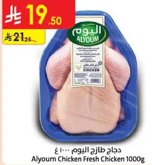 دجاج طازج اليوم 1000 غ