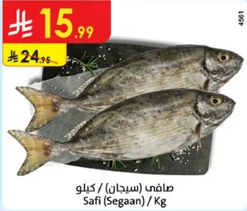 سمك صافي (سجان) يباع بالكيلو.