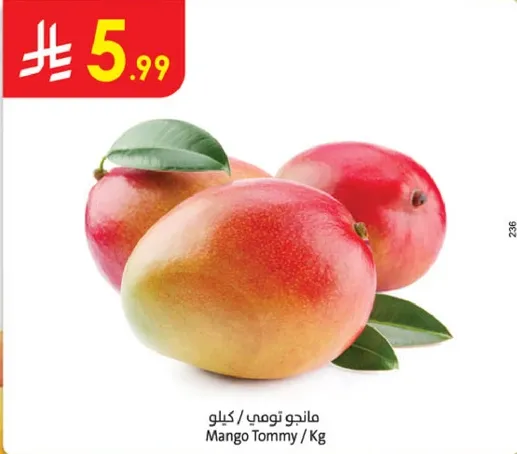 مانجو تومي / كيلو