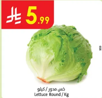 Lettuce Round / Kg