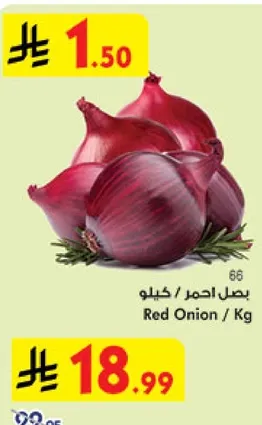 بصل احمر / كيلو