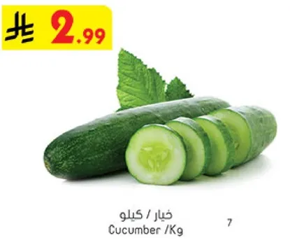 خيار / كيلوجرام