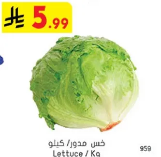 خس مدور / كيلو