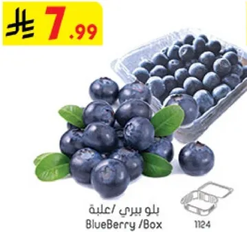 بلوبيري / علبه