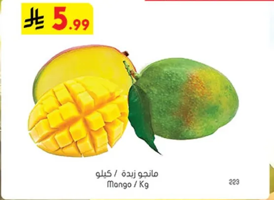 مانجو زايده / كيلو