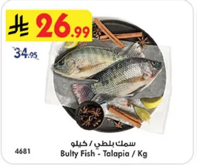 سمك بلطي / كيلو