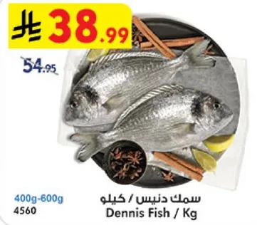 سمك دنيس / كيلو