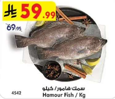 سمك هامور / كيلو