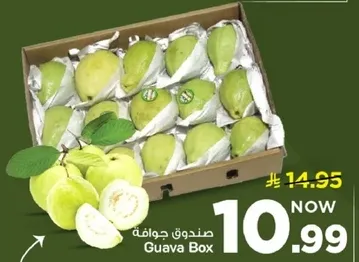 صندوق جوافه