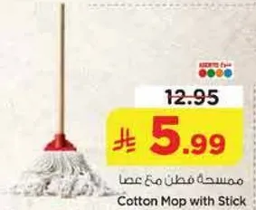Cotton Mop with Stick