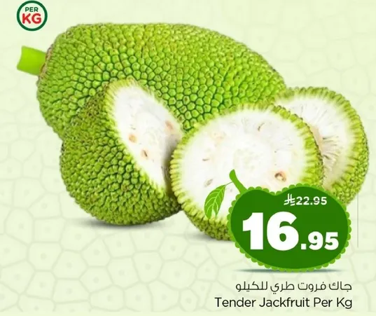 جاان فاروط طري للكيو