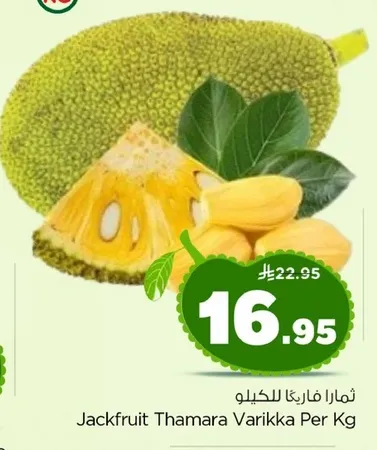 ثمره فاكهه الجاكر فورت للكيلو