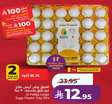 الفيلاق بيض ابيض طازج كبير طري بالاستنساخ - حبه