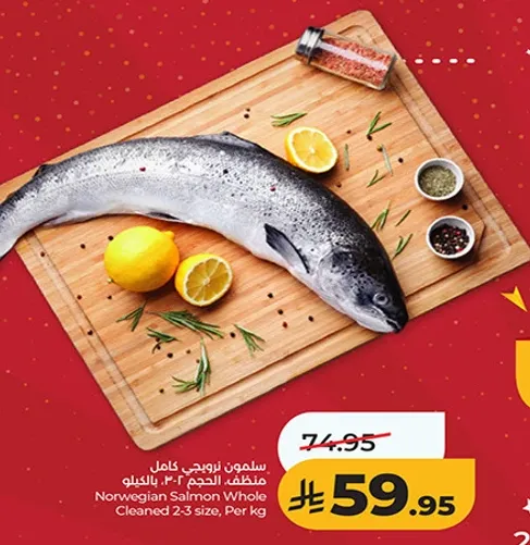 سلمون نرويجي كامل منظف الحجم 2-3 بالكيلو