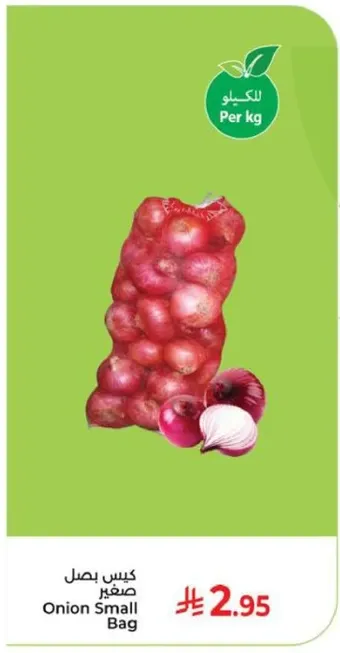 كيس بصل صغير