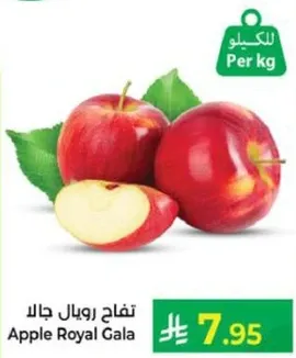 تفاح رويال جالا