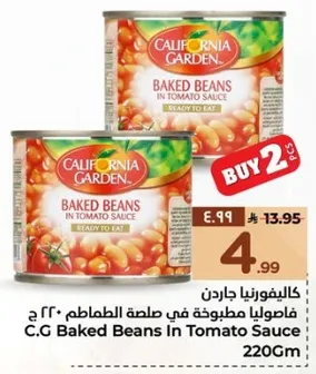 فاصوليا مطبوخه في صلصه الطماطم