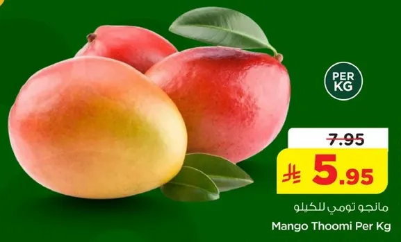 مانجو تومي للكيلو