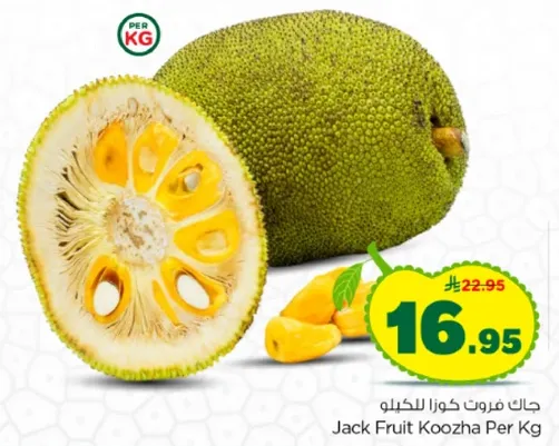 جات فورت كوزا للكيلو