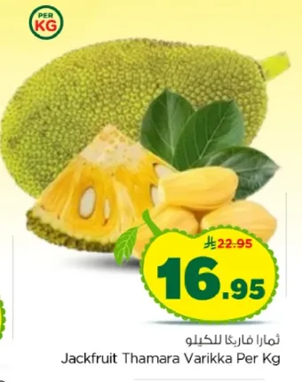 ثمره فاريكا للكيلو