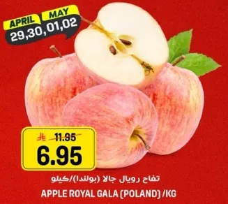 تفاح رويال جالا (بولندا) /كيلو