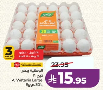 Al Watania Large Eggs 30's
