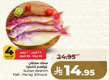 سمك سلطان ابراهيم (الكيلو)