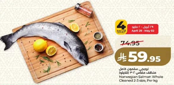 سلمون نرويجي كامل منظف مقاس 2-3 (بالكيلو)