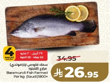 سمك فاروذ باراموندي مزارع (الكيلو)