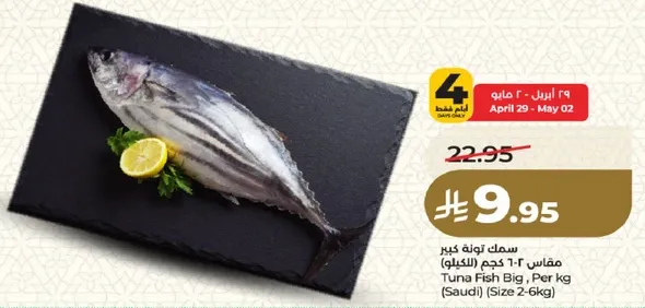 سمك تونه كبير مقاس 1-3 كجم (الكلب)