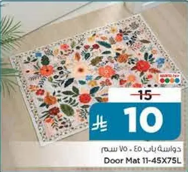 Door Mat 11-45X75L
