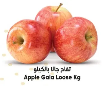 تفاح جالا بالكيلو