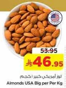 لوز امريكي كبير الحجم