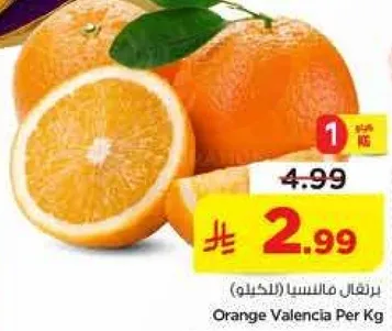 برتقال مالنسيا (لكيلو)