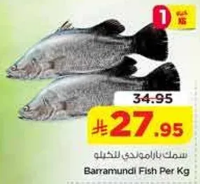سمك باراموندي للكيلو