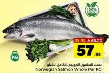 سمك السلمون النرويجي الكامل للكيلو