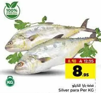 سمك طازج متاح للبيع.