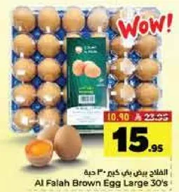 بيض بني الفلاح كبير 30 حبه
