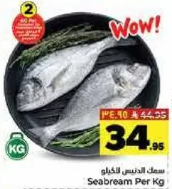 سمك الدنيس للكغ