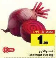 شمندر الكيلو